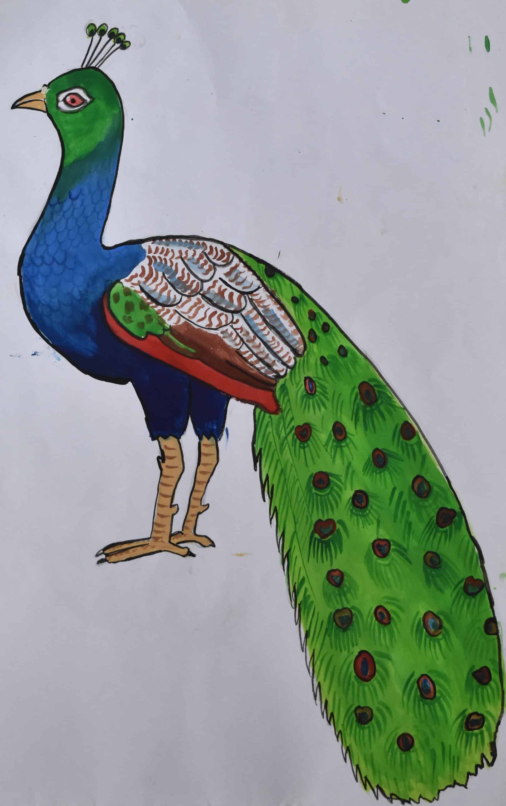 Peacock